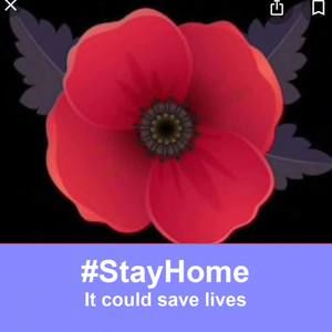 Meet your Posher, Lillian